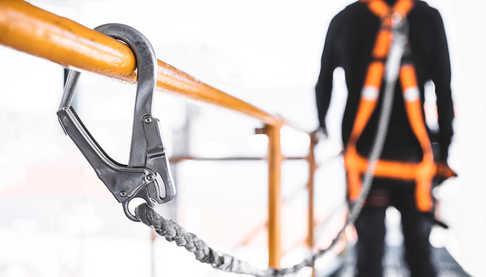 Harness with safety hook